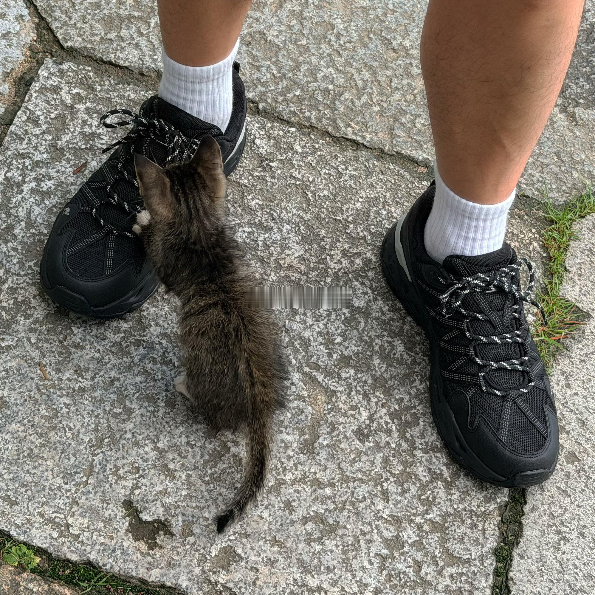 好奇小奶🐈 
