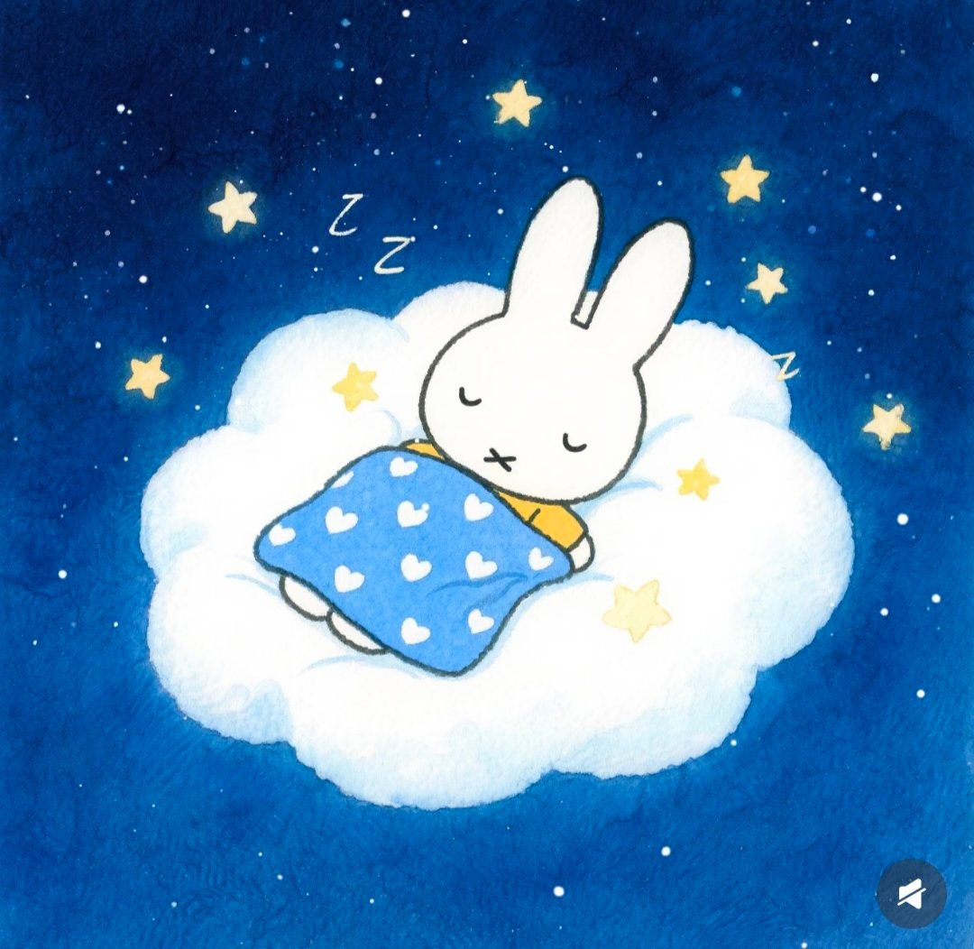 黑夜是个宝藏，愿你在梦里探寻无限的可能，晚安，愿你的梦想成真。🗝️ 