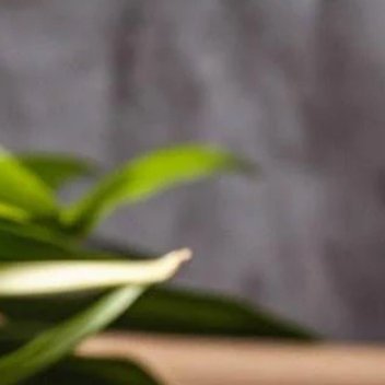 种种甘蔗甘蔗的种植技术和管理，包括甘蔗的选址、土壤要求、肥料管理、病虫害防治、灌