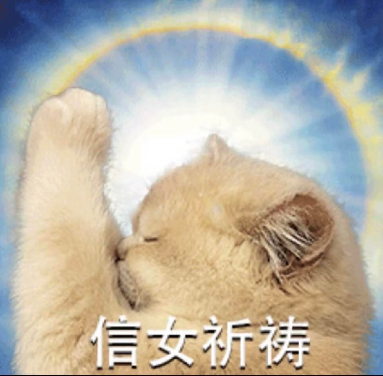 岑先生  不要再咳嗽了，快喘不上气了 