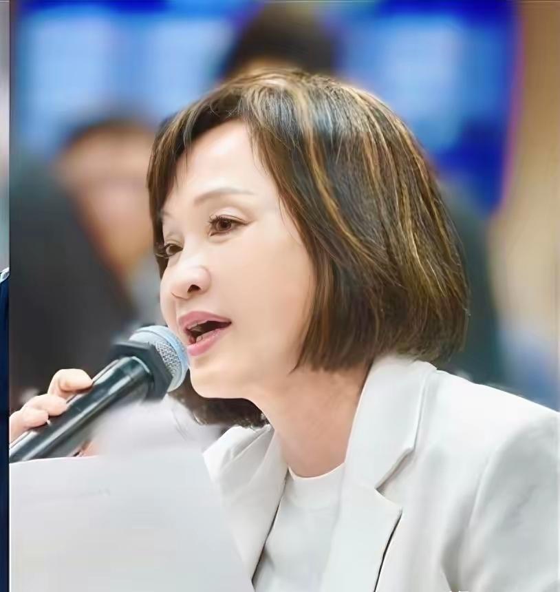 柯志恩喊“不通过8000亿军购高雄很难选” 陈挥文批：你老公小孩全在美国 你怎么