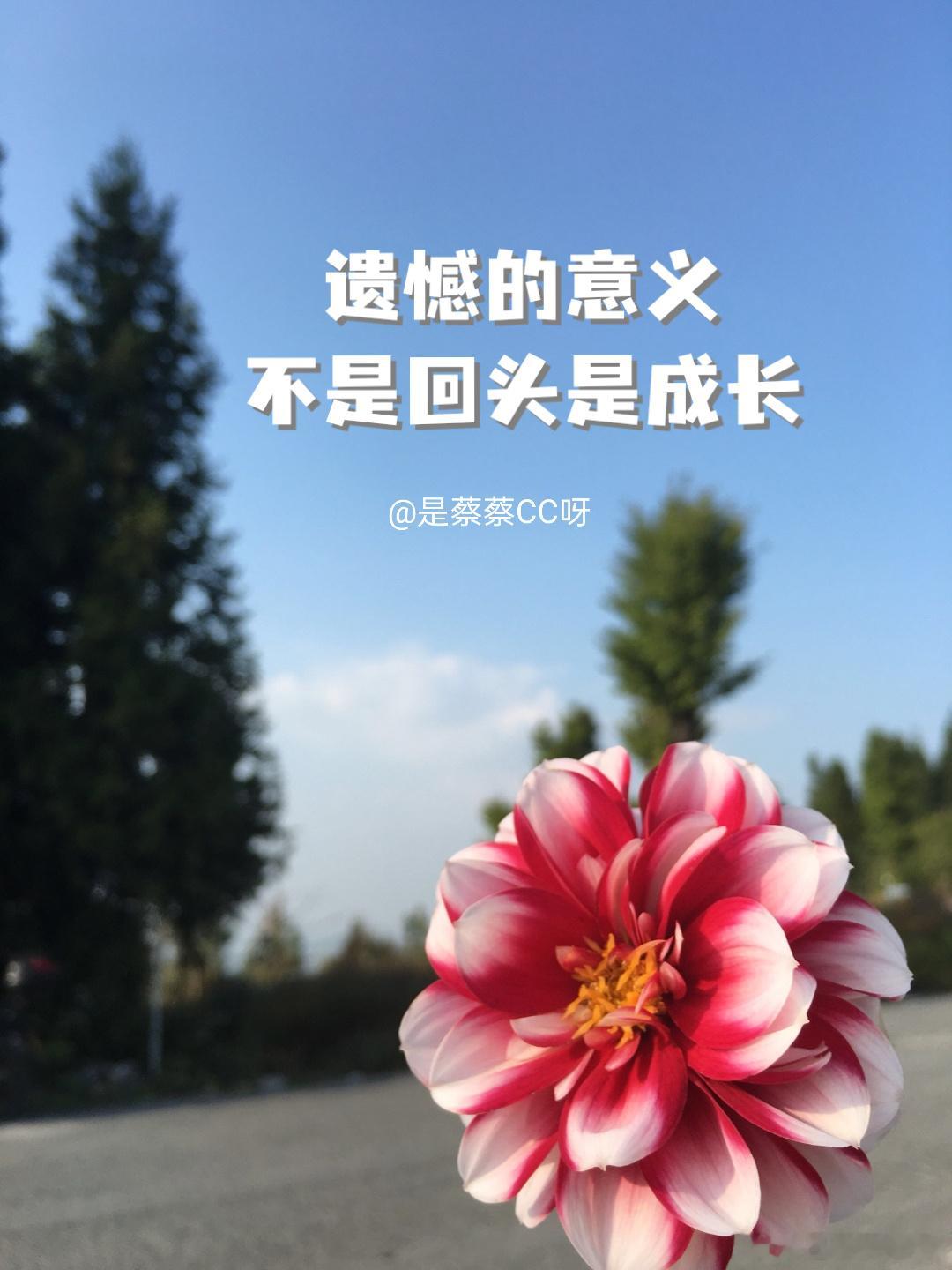 人们总是容易被“豪门”“前妻”“婆婆”这些词带偏但李丽婧做的，理性且干净全部遗产