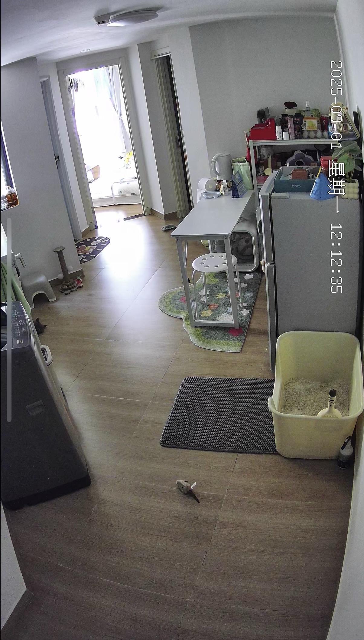 烘干箱：？？？我是猫。哈哈哈哈哈哈哈哈哈要被我妈笑晕