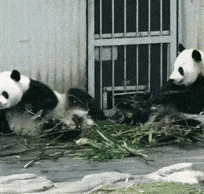 奇三妹在搞笑这条道上是越滑越远了吗？我怎么觉得summer很有谐星潜质呢？
奇三