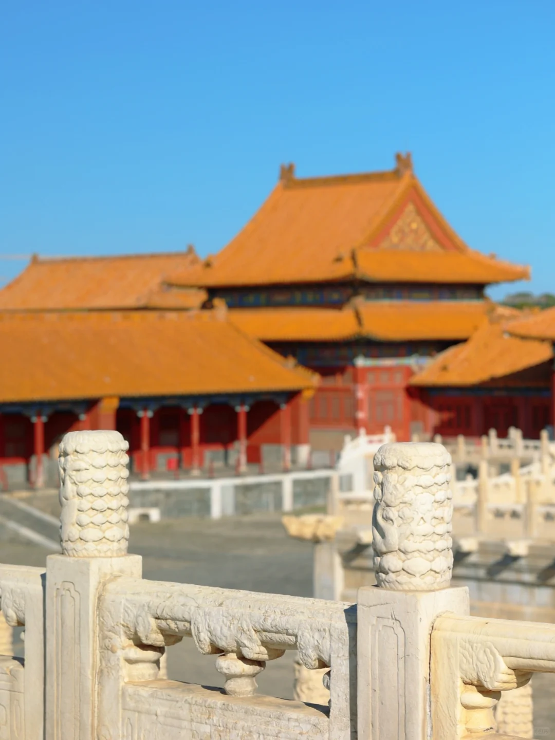 秋日故宫｜最是橙黄橘绿时