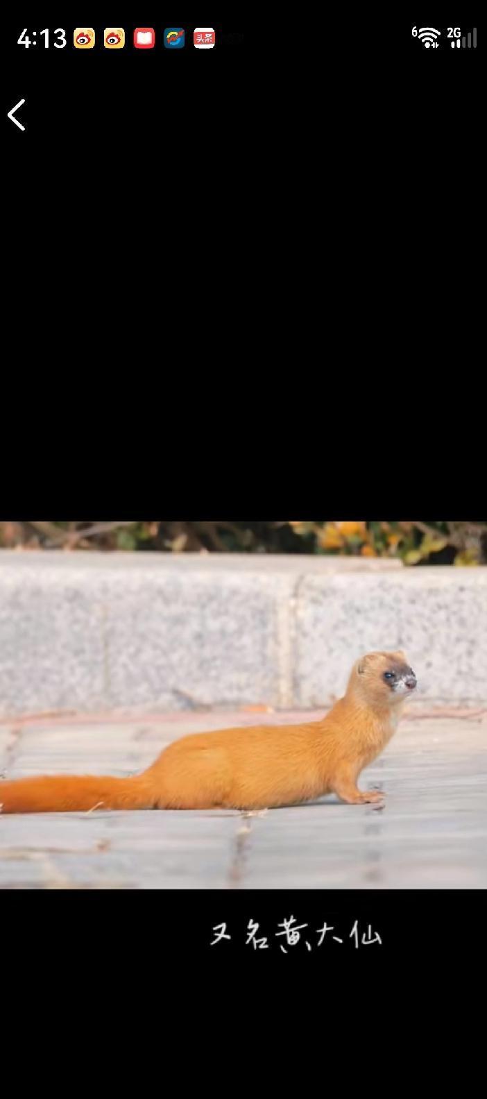 这个世界上究竟有没有鬼？
我的观点是没有。因为小时候一到放暑假，我都要回到农村的