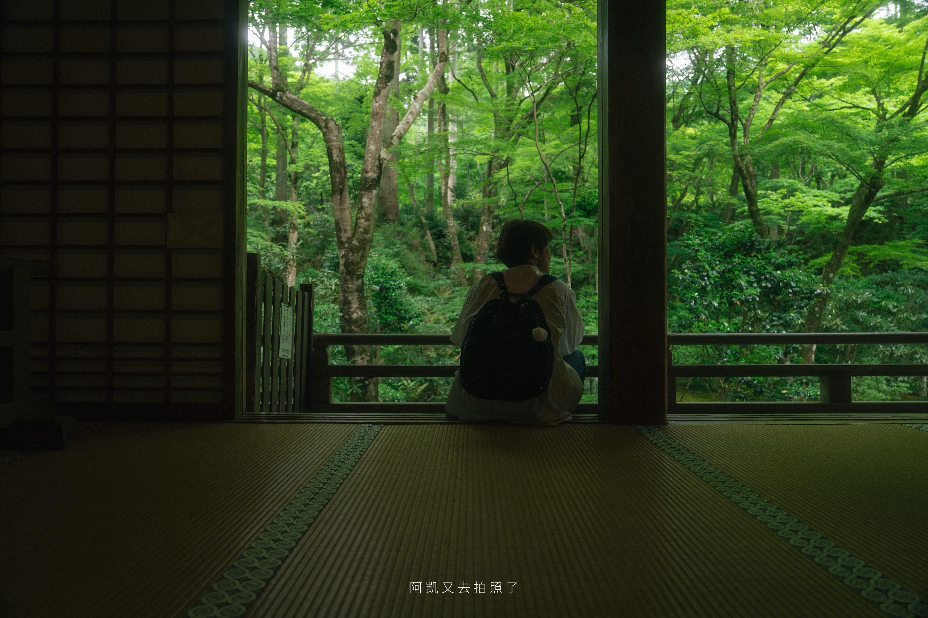 025年了，还会有人喜欢横版的照片吗…