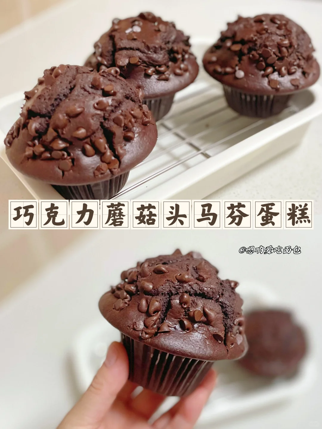 零失败的巧克力蘑菇头马芬只需要搅拌就能做