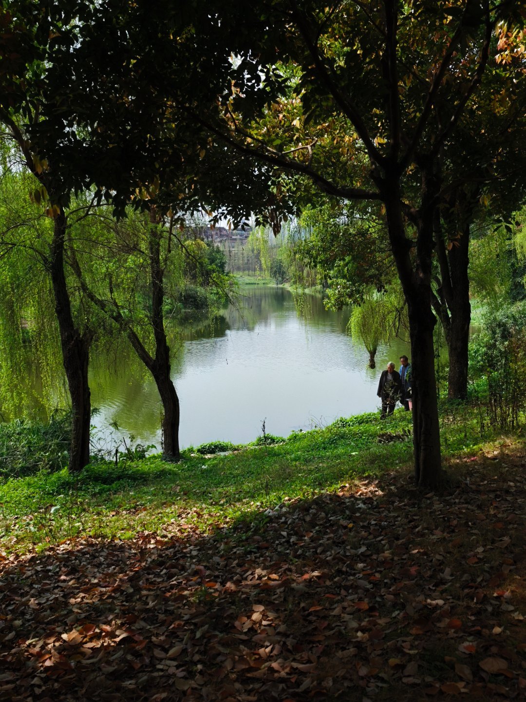 办公室楼下就小河小树小草地，你们说不租办公室了每天拖个露营车搭个帐篷摆上桌椅就地