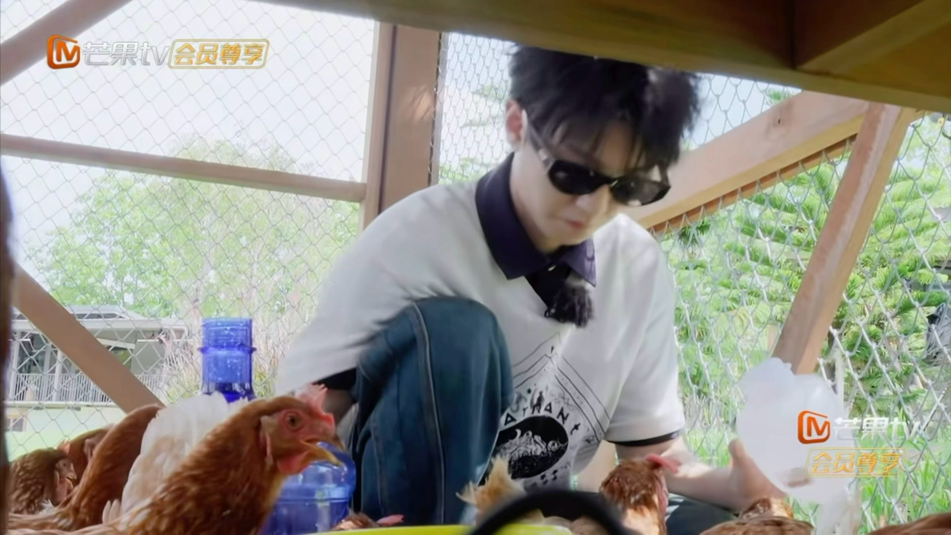 谁教你们这么用斯皮尔伯格的❓（怕🐔者慎入‼️）王俊凯中餐厅10