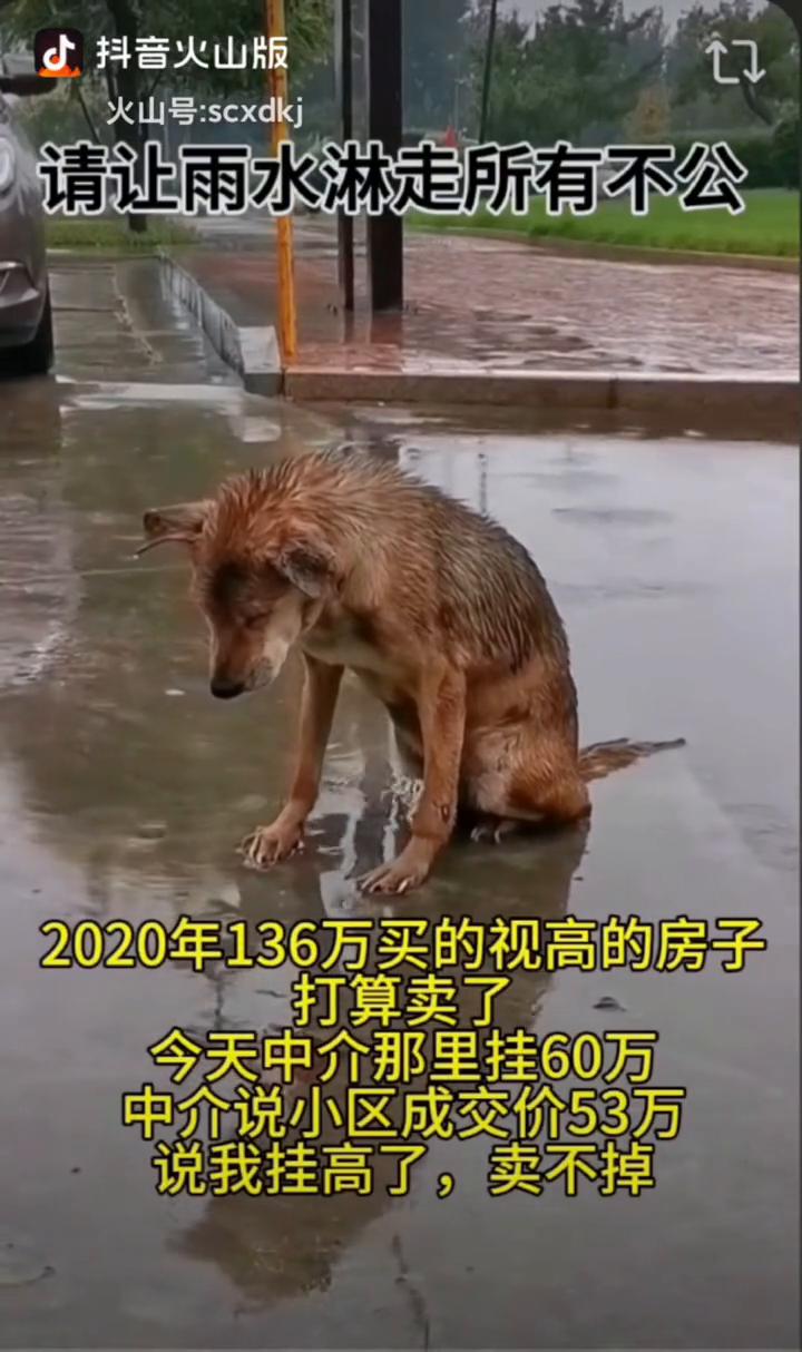 请让雨水淋走所有不公。
2020年136万买的视高的房子，打算卖了。今天中介那里