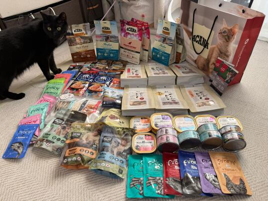 宠物展战利品