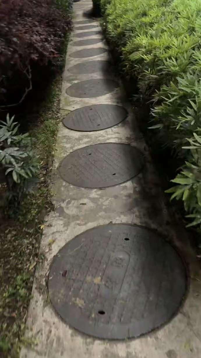 我有一个东北朋友身材特好！

平时也不见她跑步、健身之类的，因此我特好奇！

有