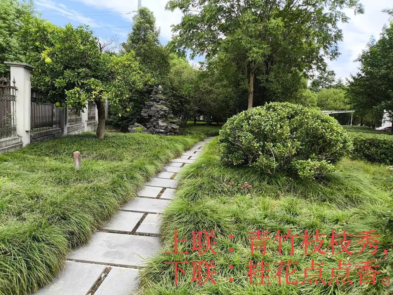 上联：青竹枝枝秀，
下联：桂花点点香。
#上联：青竹枝枝秀，诚邀下联#