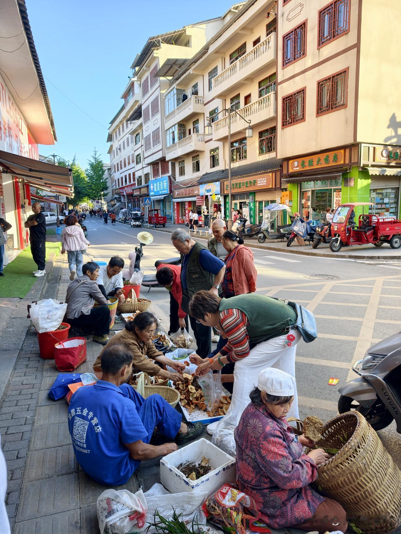 黄水的老街，莼乡路上的地摊，卖野生菌的很多，低的十多元一斤，高的50、60元一斤