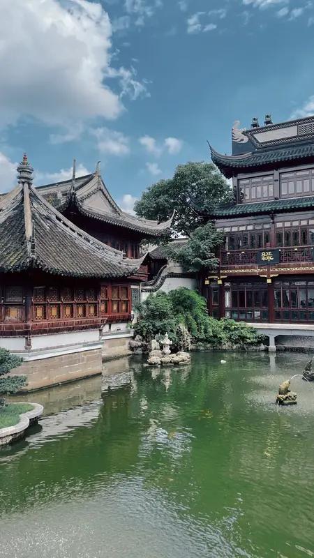 上海这座城市最大的特点，那必须是多元包容。走在上海街头，既能看到古色古香的豫园，