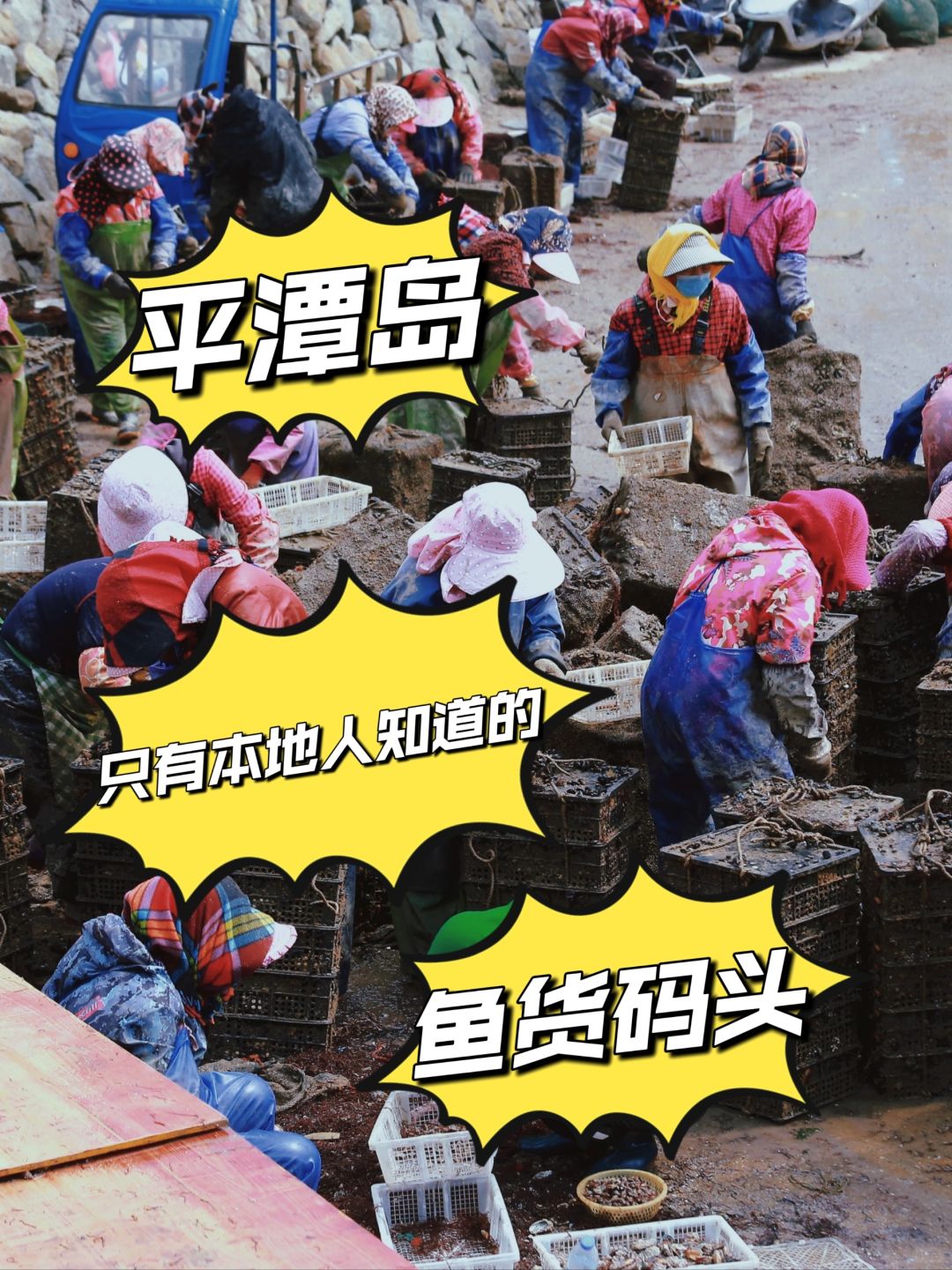 平潭冬季特有的渔获码头！一定要去逛！