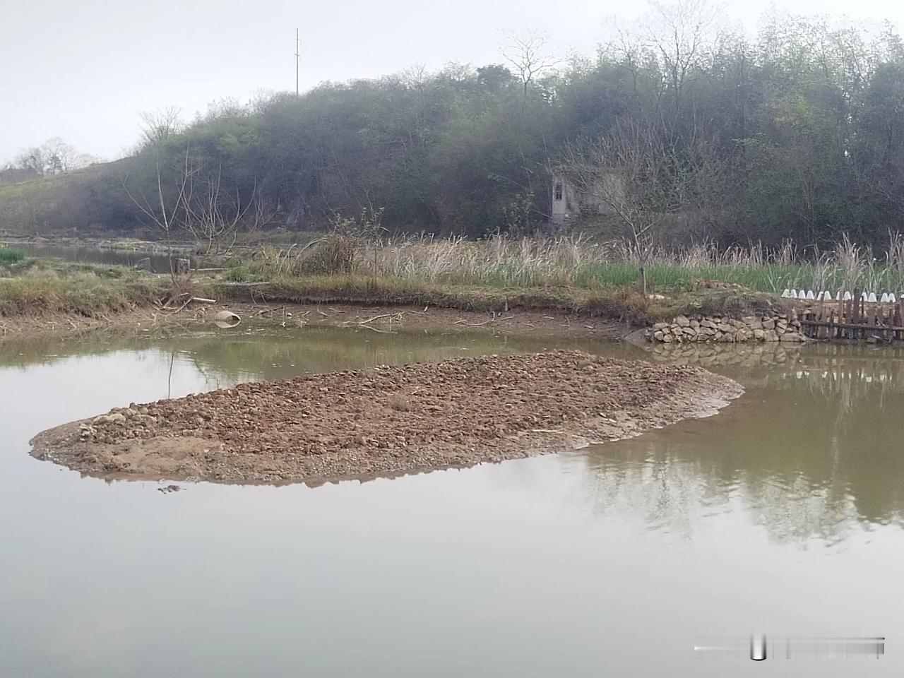 两天前，我对鱼塘进行有计划地放开，直到我穿雨靴走过去为止。
今天上午，我把塘中小