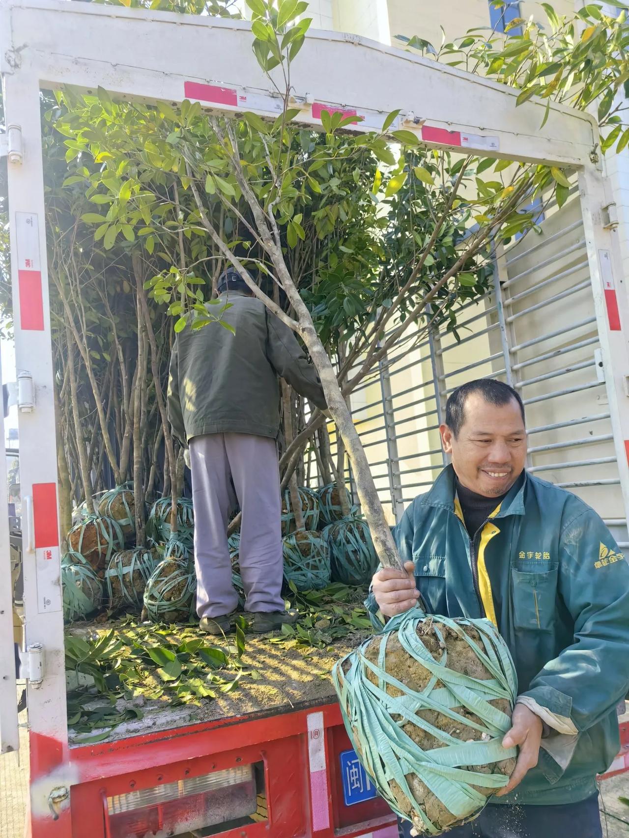 红花油茶为我市工业园区添红增绿🌹🌹