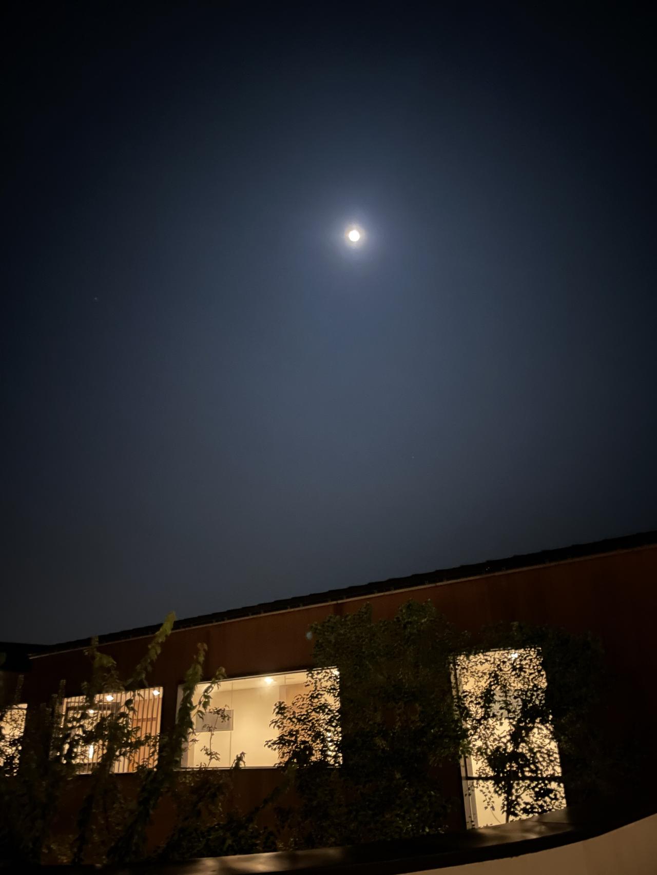 随便一张照片配上这个BGM，发呆一个小！夜景 月光