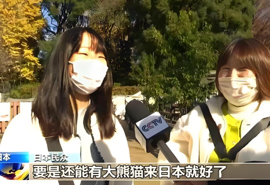 1 月 29 日，大熊猫才离开两天，日本媒体就开始 “发牢骚” 了，读卖新闻甚至