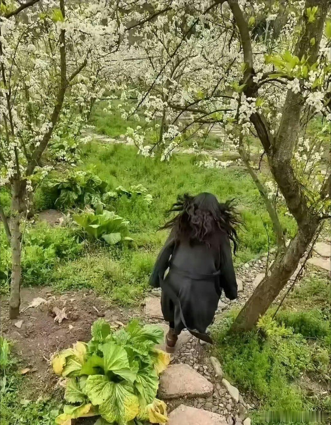 不小心把朋友拍成了穿山甲网友抱怨，自己爬山踏青，结果硬是被老公拍成了野猪。