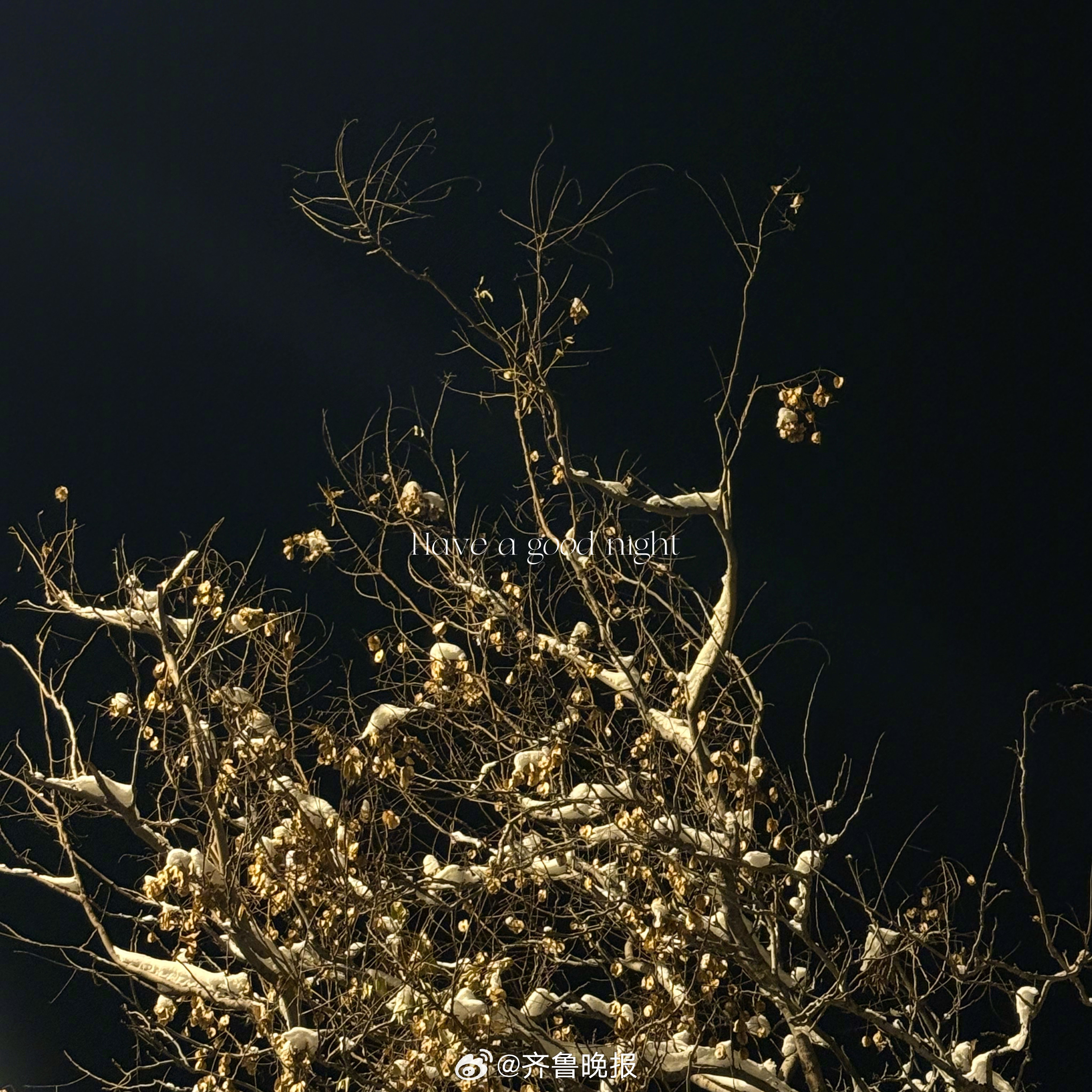 把每一步都走成自己的里程碑#晚安#