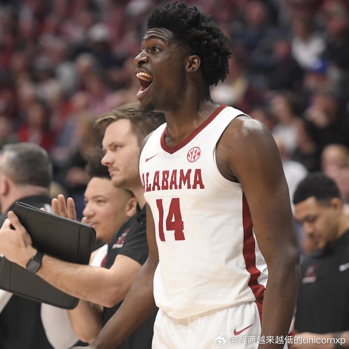 规则是被打破了，但从球场表现看，到目前为止这些职业身份的球员没有一个在加入NCA