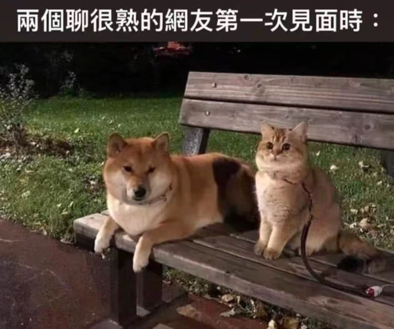 我面基就这样 