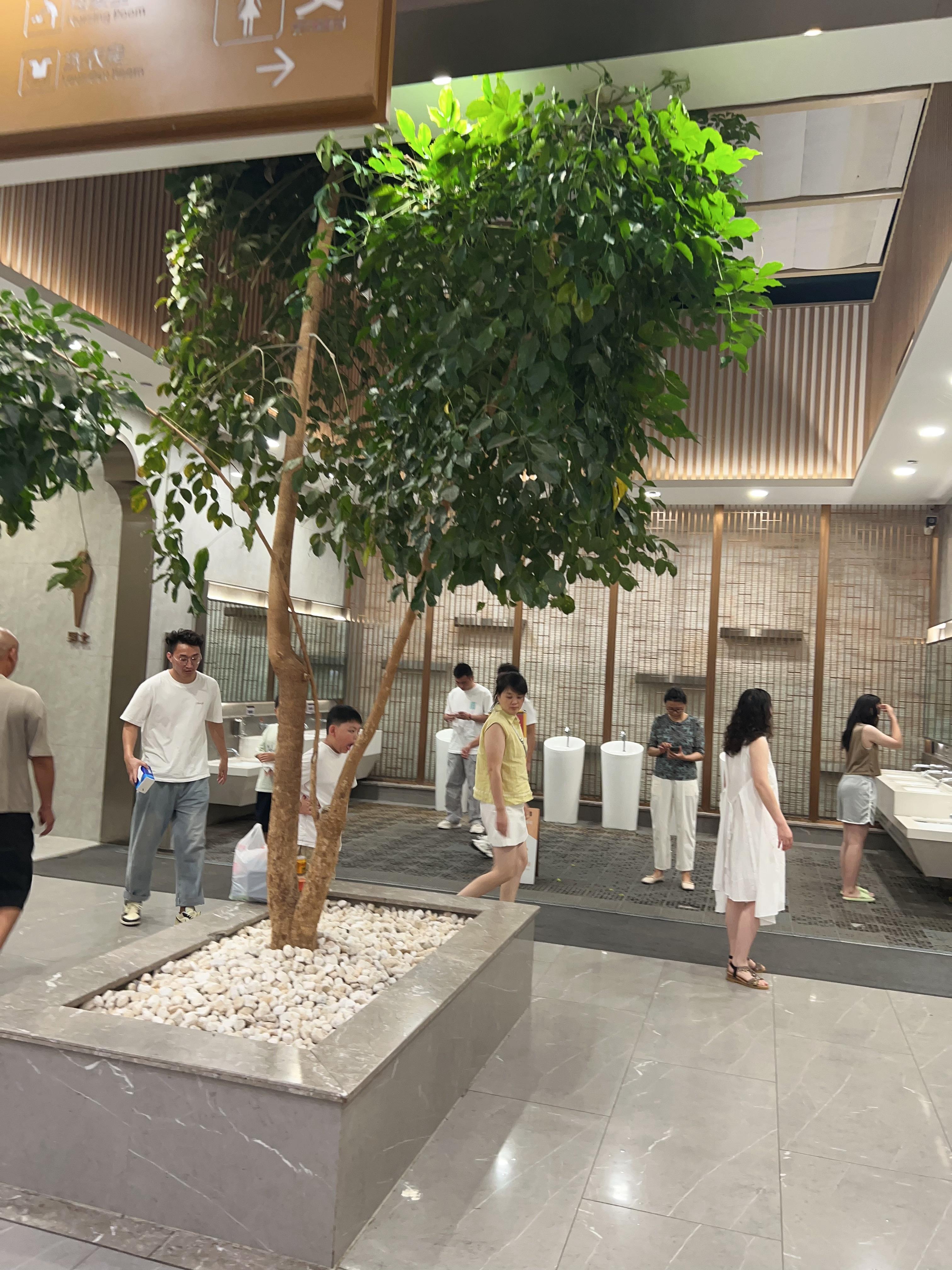这是安徽省的高速服务区，中国服务区的天花板。  ​​​