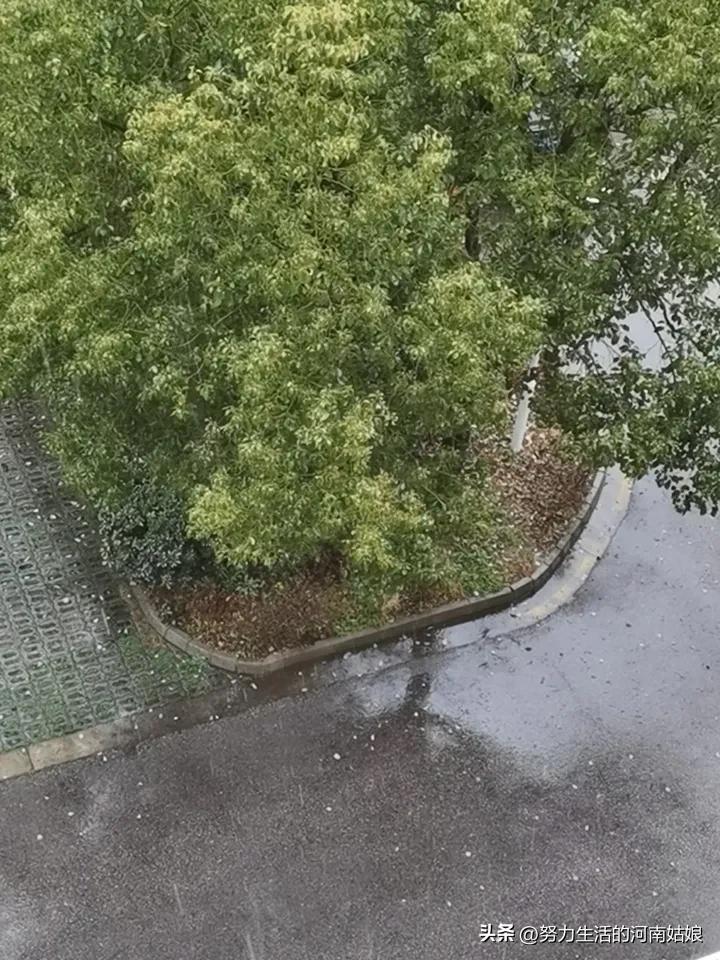 3月第一天，苏州落雨。
烟雨入江南，山水如墨染，
一雨洗尘，万事可期。
愿三月，