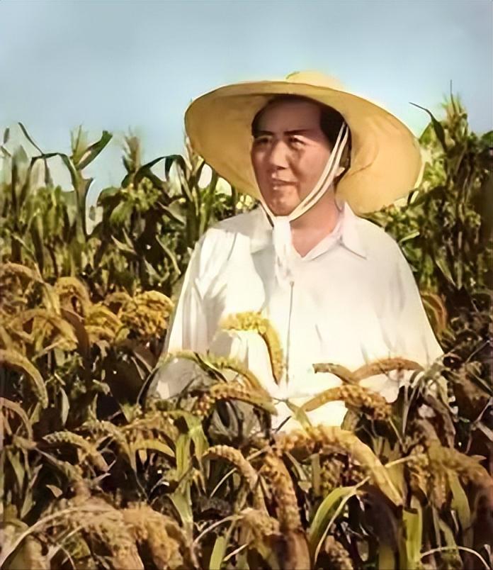 这是毛主席戴着草帽的真实模样，都看看吧，稻谷飘香的田地里，满是丰收的喜悦！

毛