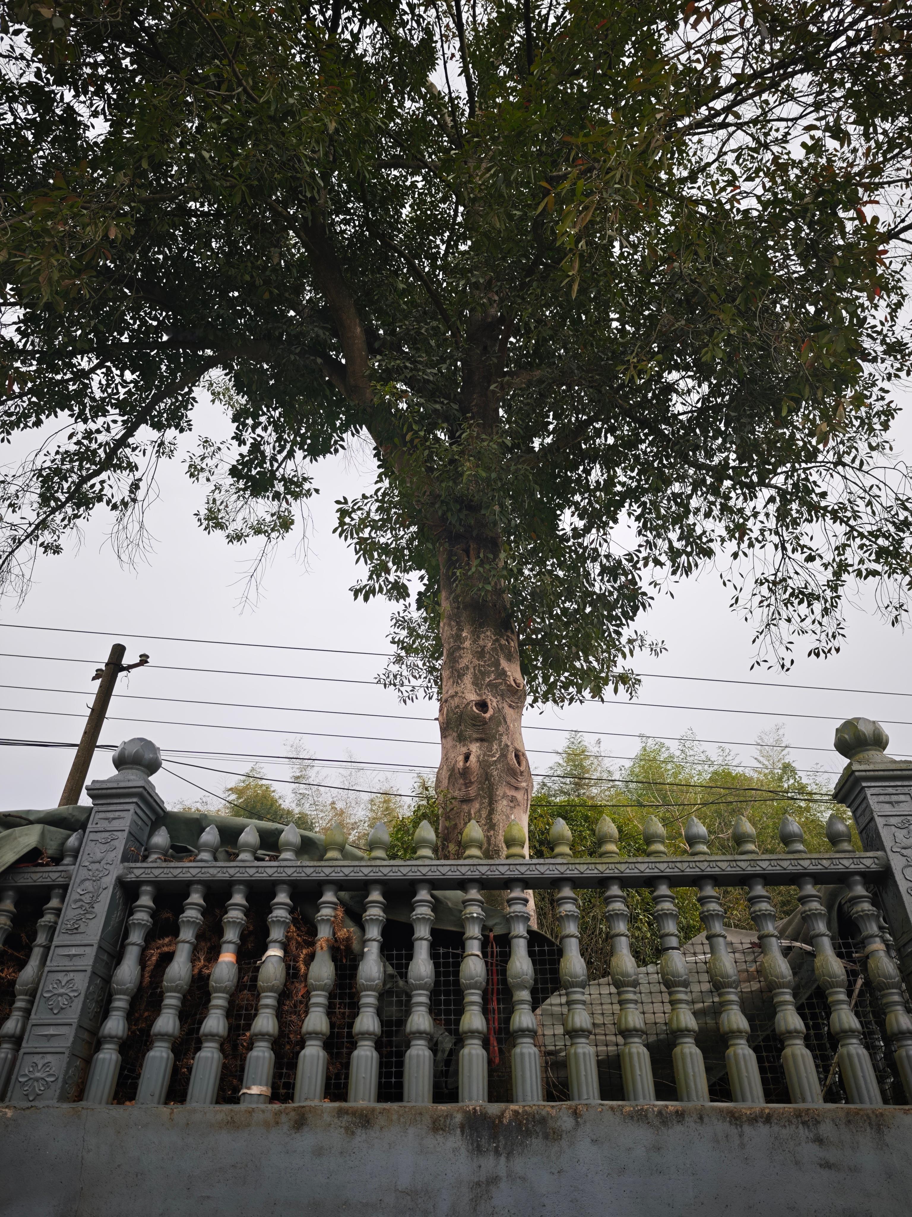 在舅爷家接了几桶山泉水，他们喝的水都是直接从山上引下来的，清甜又干净。水管一路通