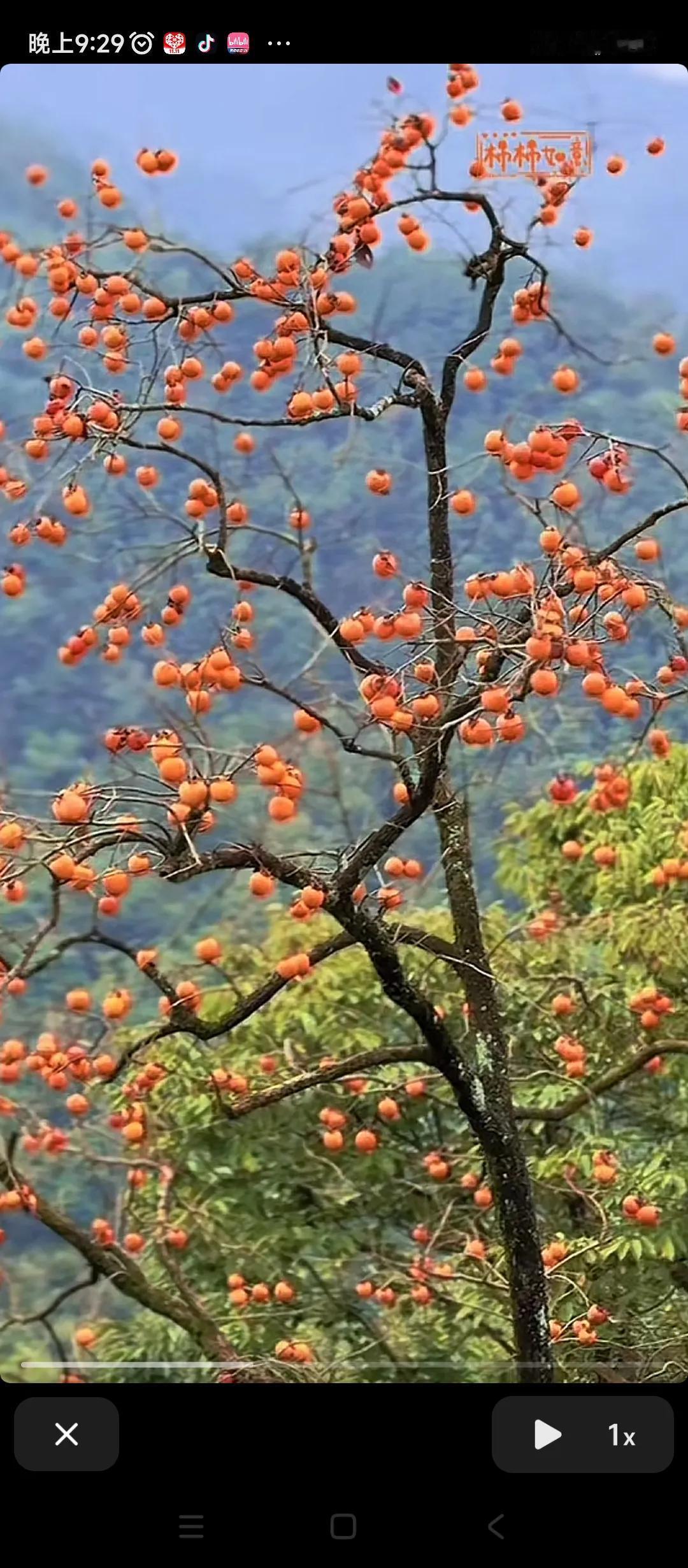 今天周末加班，早上还没起床，听见外面风带着哨子，呼呼叫着，降温了，空气里面都有冬