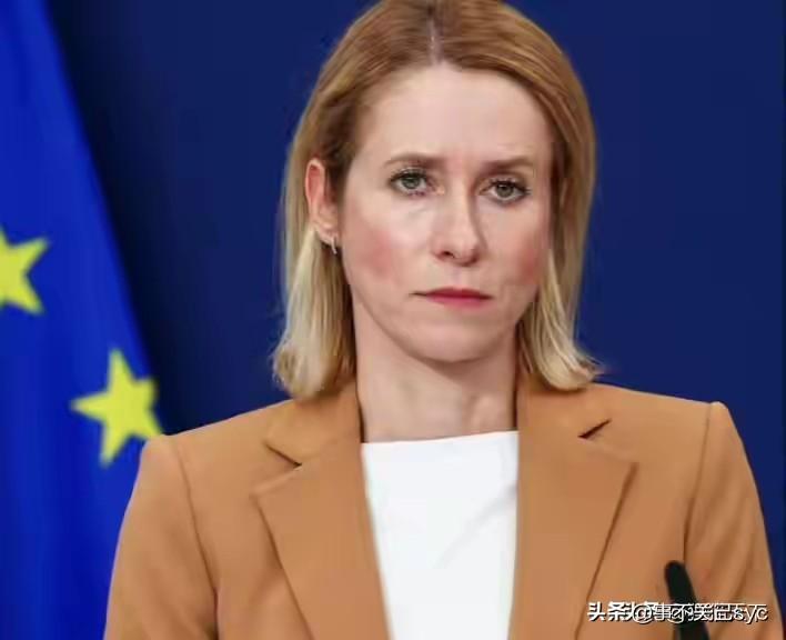 欧盟外长卡拉斯：战争就像恋爱，开始容易抽身很难。
在日前举行的欧洲理事会会议上，