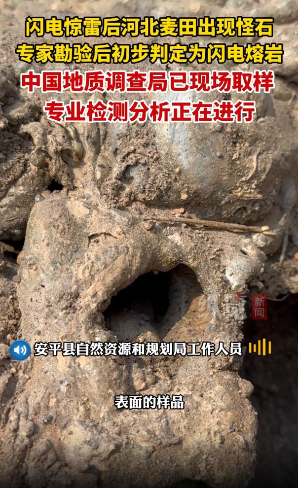 “太邪乎了！”河北6月12日傍晚骤降的强雷雨停歇后，一位村民赫然发现自家麦田中莫