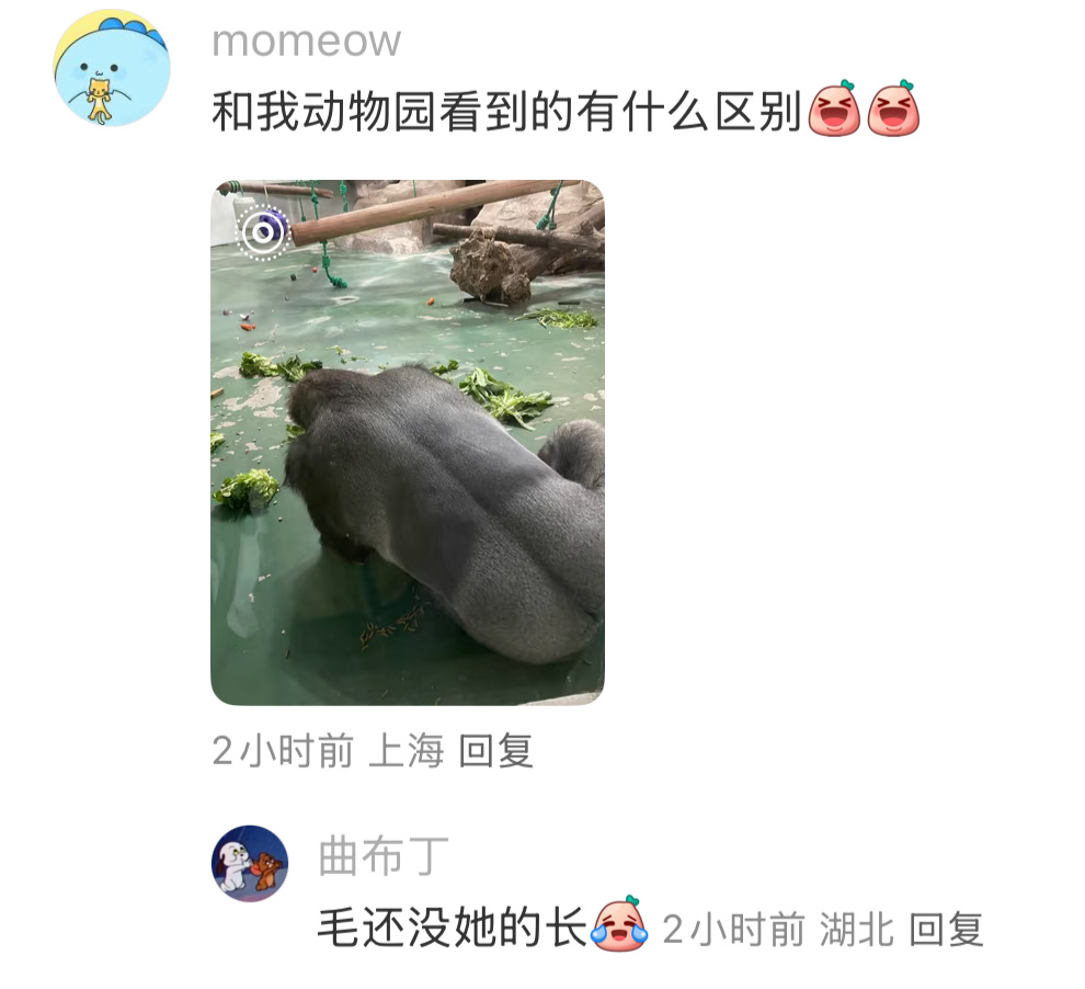 买到一件很“显兽”的皮草 