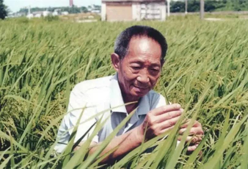 [发怒][捂脸]袁隆平和朱之文，二人都來自中囯这片黄土地。
      只是袁隆