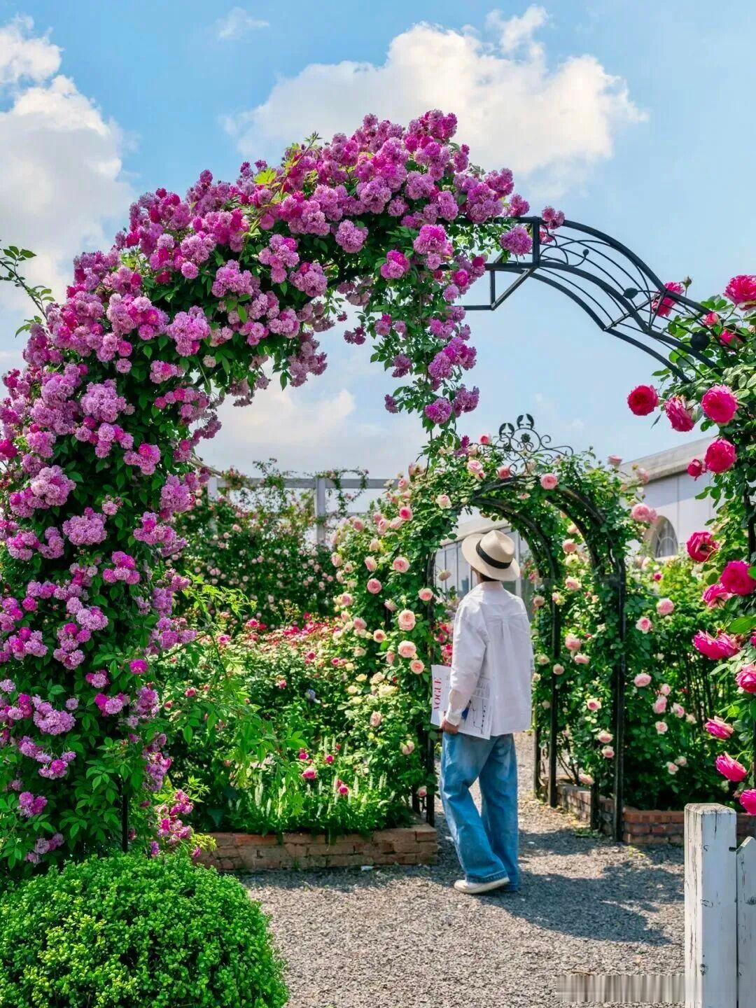 海宁春日花海天花板｜高铁直达的50万㎡繁花秘境，限时9天冲‼️谁能拒绝一场不用长