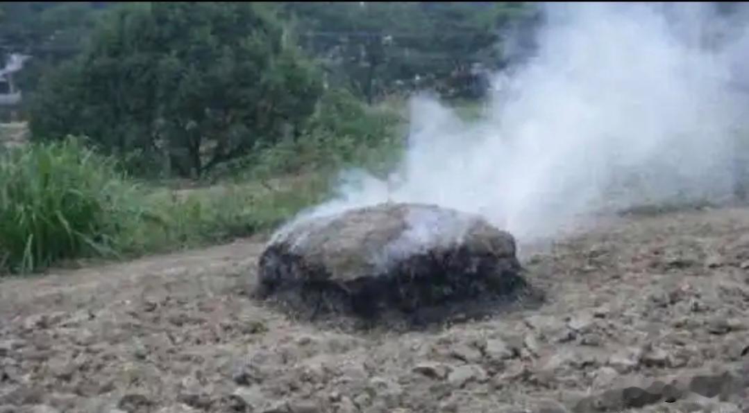 农村在九十年代之前，虽然很少有人在地里大面积焚烧农作物秸秆，但是，农民会用另一种