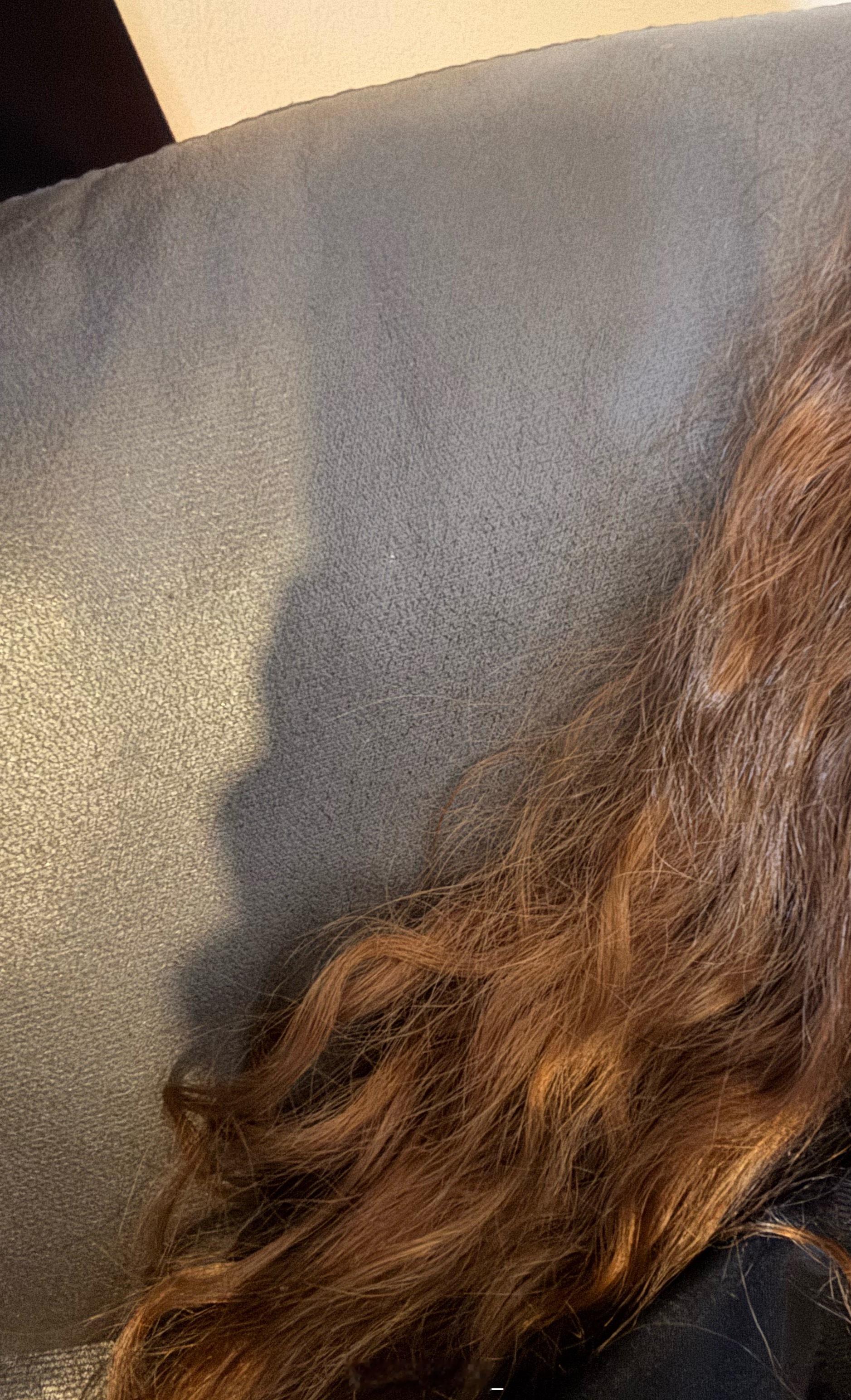 果然人一躺公司就困😪可以睡俩小时了 