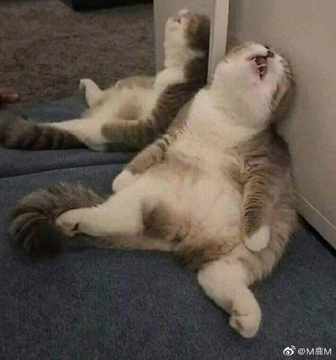 上班看鹿晗的舞台视频流下了口水这玩意有瘾真有瘾 