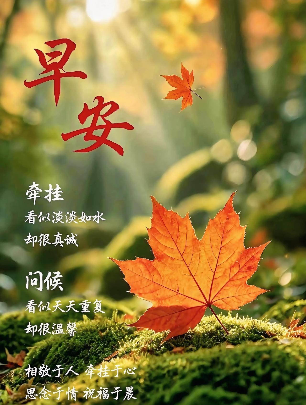 早安！红叶铺满青苔，阳光暖洋洋。牵挂虽淡淡如水，问候却天天温馨，愿你心情美美哒！