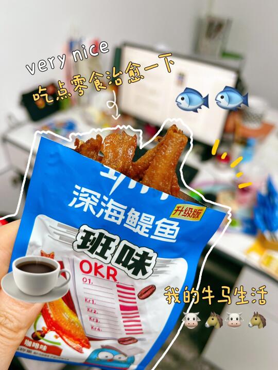 上班的味道，劲仔深海鳀鱼知道