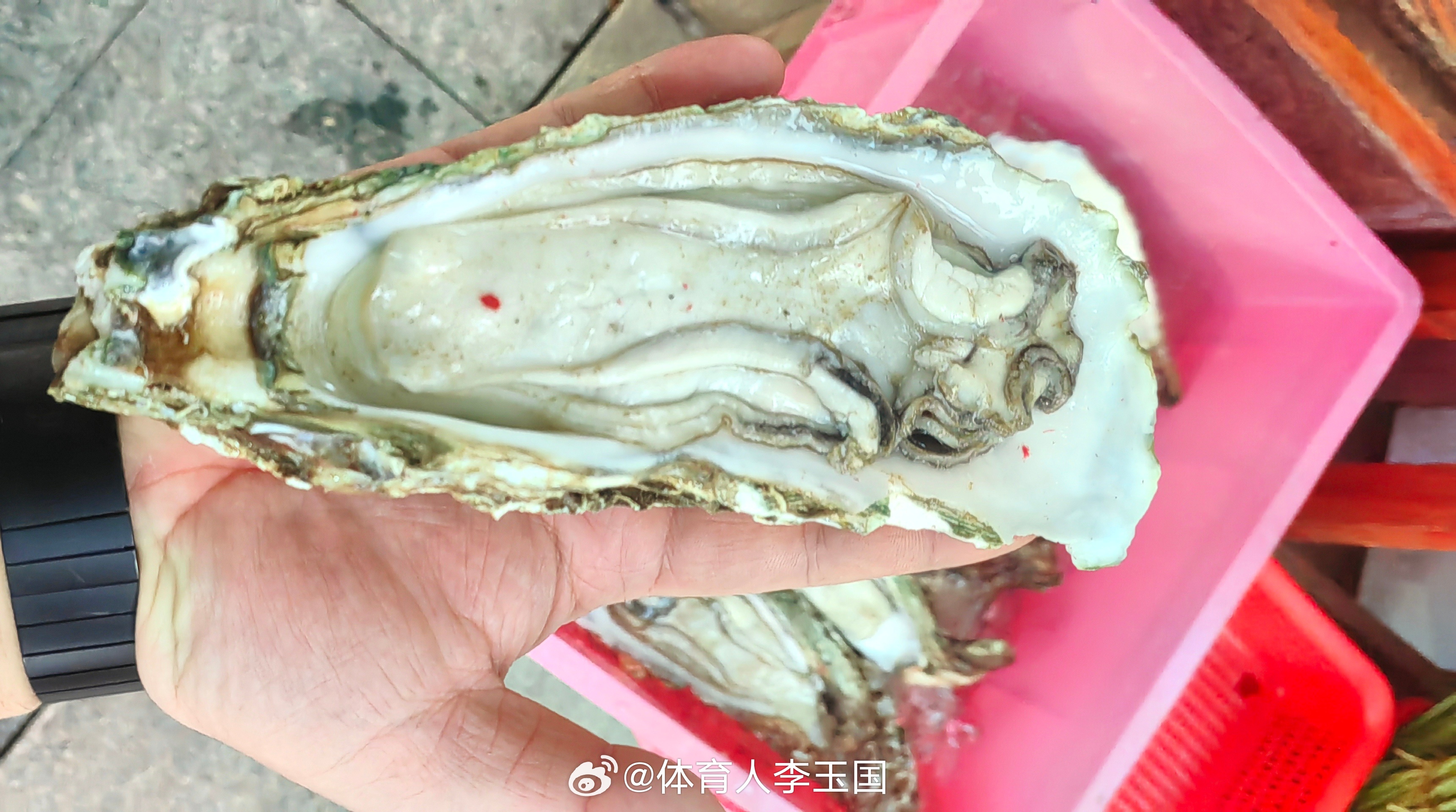 手掌生蚝生蚝美食 珠海·大横琴岛