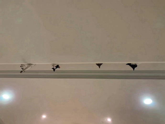 家里装满了猫眼摄像头 