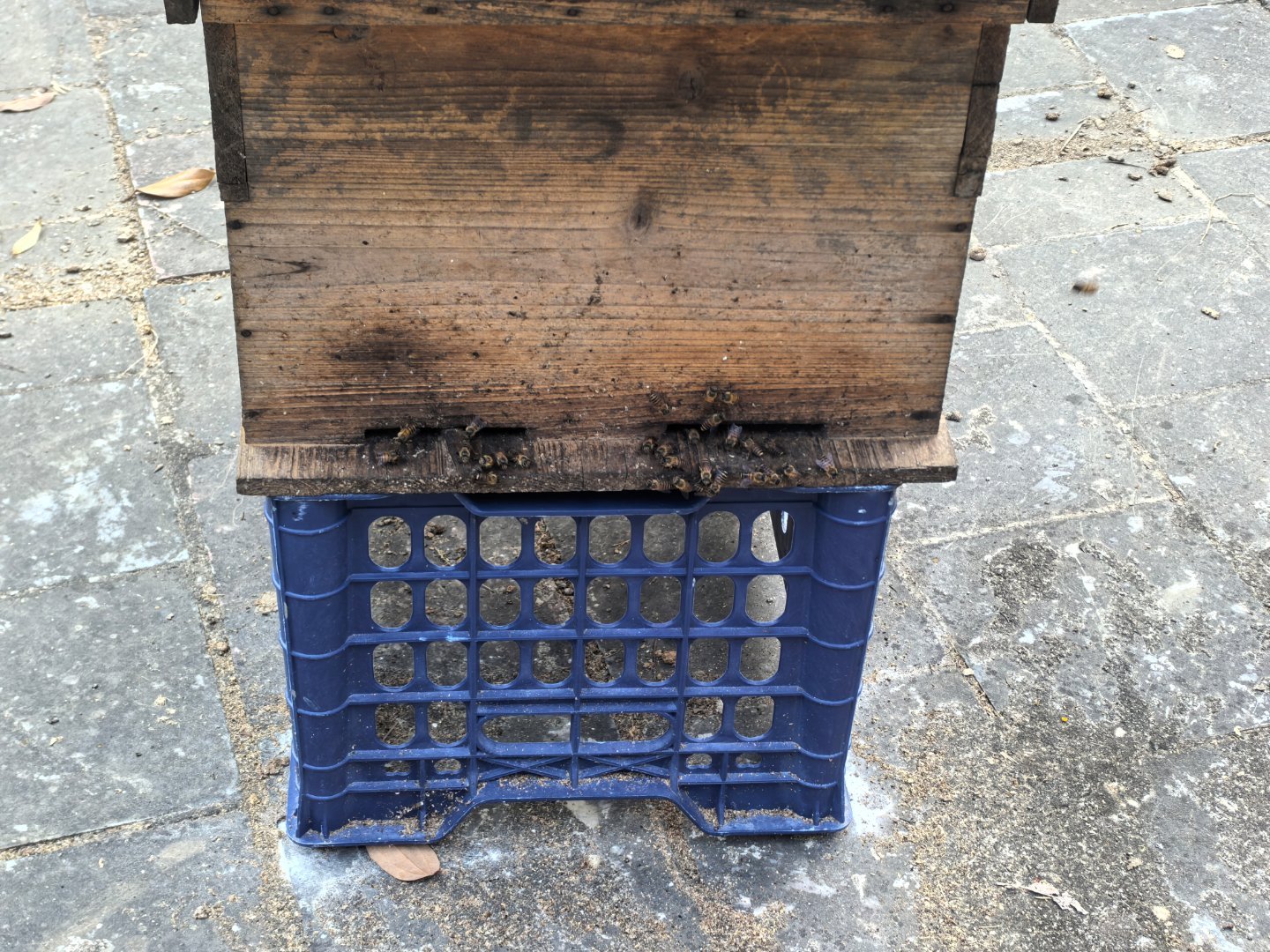 冒着生命危险拍了个照