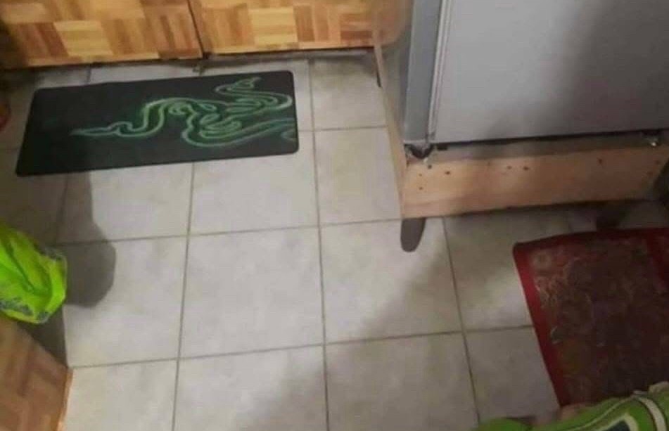 “欸老妈你看到我的鼠标垫了吗….靠！” 