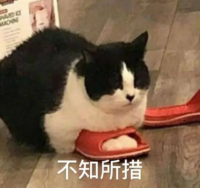 还以为五六点醒是身体出问题了我是做噩梦醒的，这怎么说，打完怪了我也醒了 