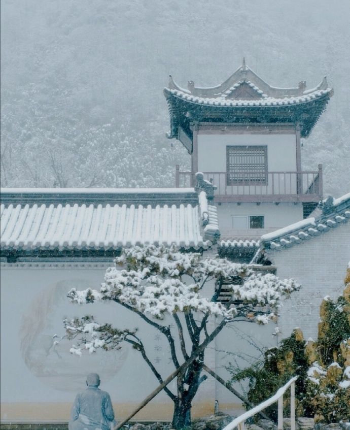 在雪中清醒的孤独，总比在人群中热闹的寂寞与迷惑要好些。——林清玄 